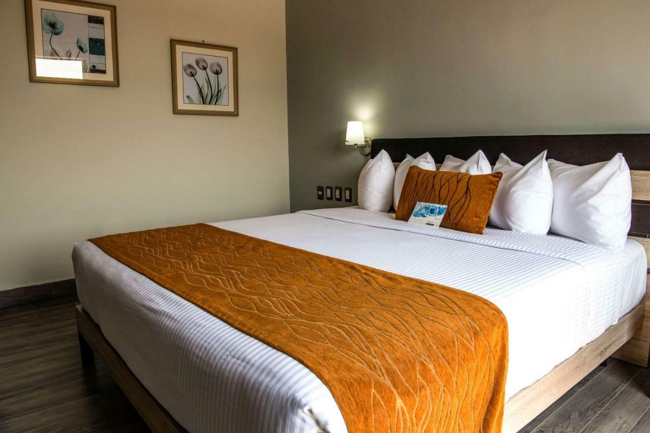 Comfort Inn Irapuato Eksteriør bilde